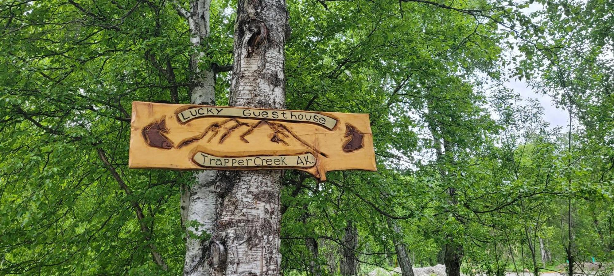 Lucky Guesthouse Trapper Creek Extérieur photo